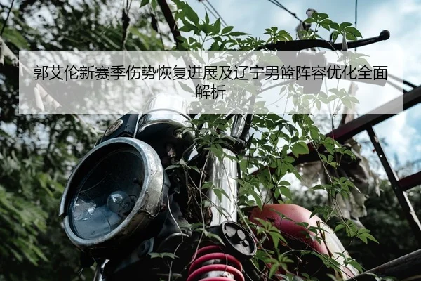 郭艾伦新赛季伤势恢复进展及辽宁男篮阵容优化全面解析 | B SPORTS